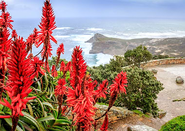 Cape Point National park