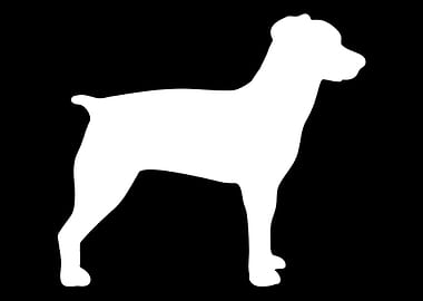Brittany Spaniel