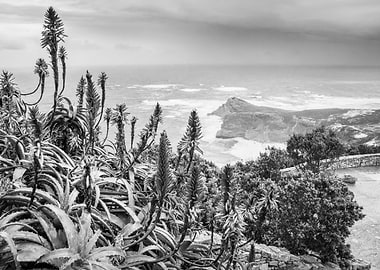 Cape Point National park