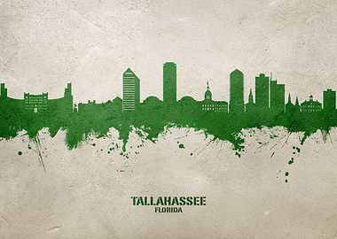 Tallahassee Skyline