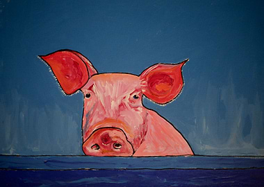 Blue Pig