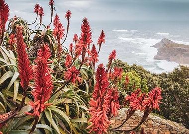 Cape Point National park
