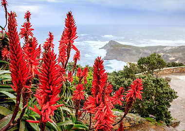 Cape Point National park