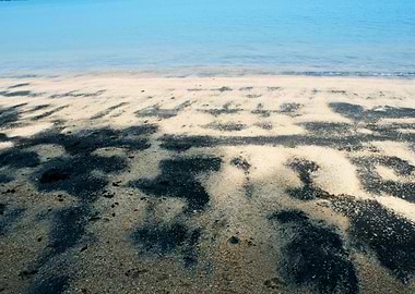 Africa Atlantic Beach Blac