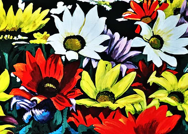 Colorful daisies