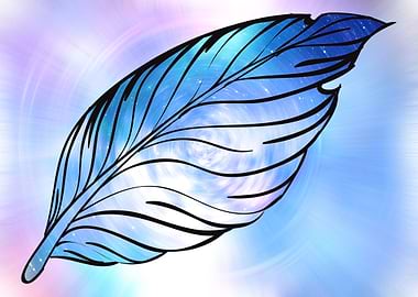 Universe feather