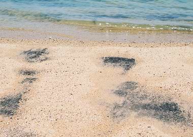 Africa Atlantic Beach Blac