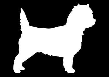 Cairn Terrier