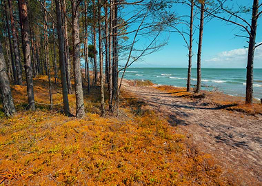 Baltic Bay Beach Blue Brig