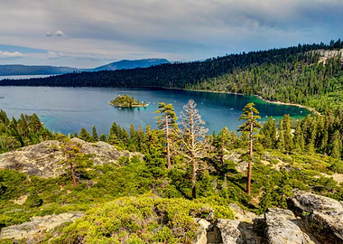 USA Lake Forests Island