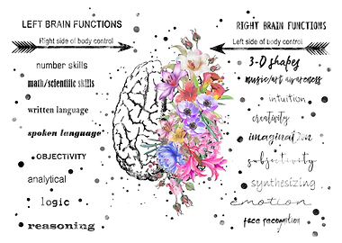 Brain function