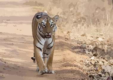 Indian Tiger