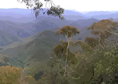 Australian Bushland
