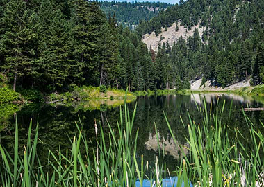 USA Lake Forests Chesaw