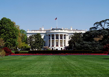 The White House