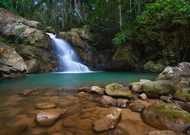 The Magnificent Teladas