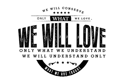 We will conserve only