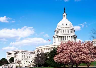 US Capitol Building
