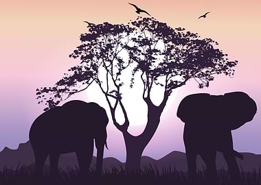 Elephants African Savanna
