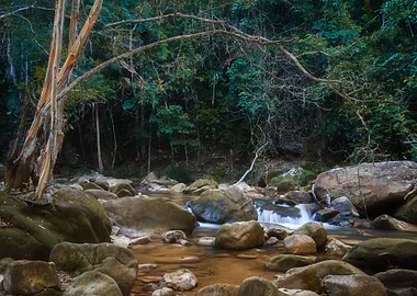 Silent But Beautiful