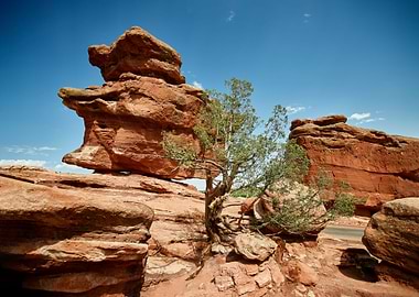 The Garden of the Gods