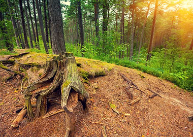 Dark Dreamy Europe Evening