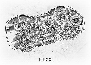Lotus 30