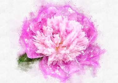 pink peony watercolor