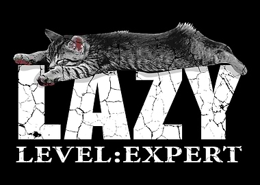 Lazy Level Expert Lazy And