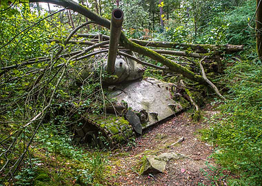 Char d assaut forgotten