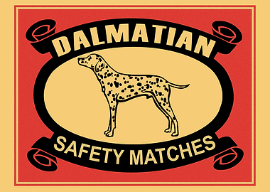The Dalmatian