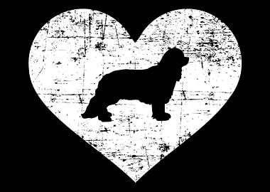 Cavalier King Charles