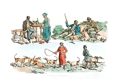 scene of the hunter life