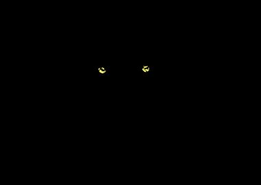 Slashes Wolf Nature Nature