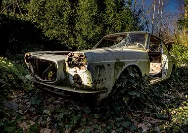 Lancia dans la nature
