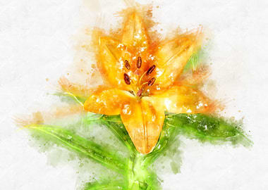 orange lily watercolor