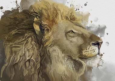 portrait of lion