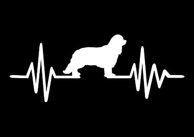 Cavalier King Charles