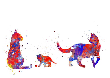 Mom dad and baby cat