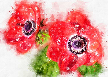 red anemone watercolor