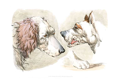 two dog heads
