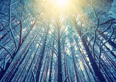 Background Beam Blue Borde