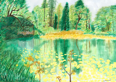 Wallington Hall Pond