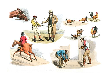 Illustration of gamecocks