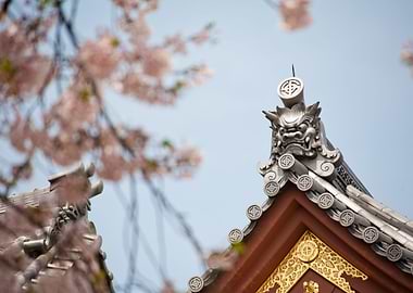 Ancient Architecture Arts