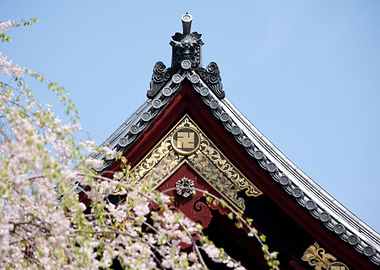 Ancient Architecture Arts