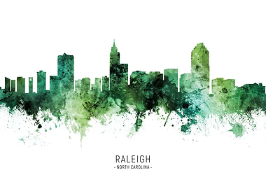 Raleigh Skyline