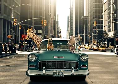 Animals car in New York