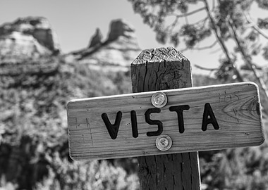 Vista