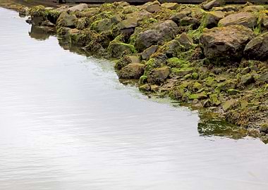 Abstract Grunge Texture